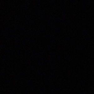 Meet your Posher, Dylan